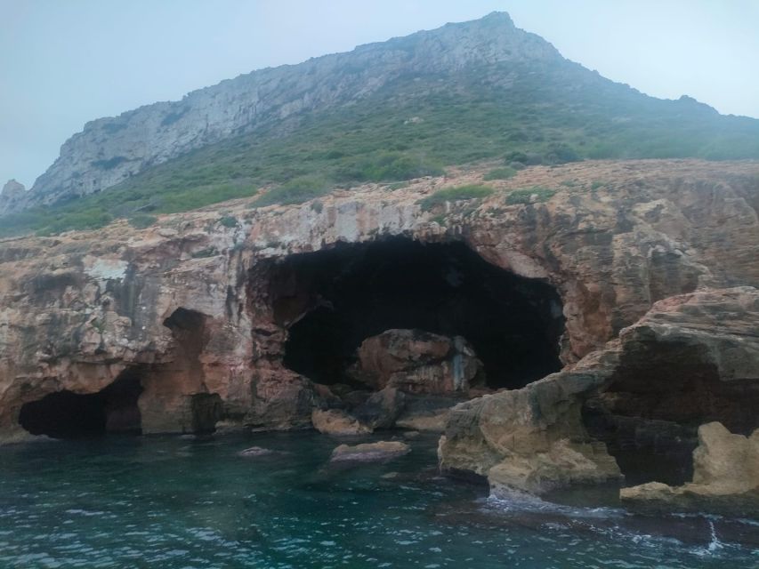 Denia: Cova tallada Catamaran Trip w/ Mussel Tasting & Wine - Practical advice for making the most of it