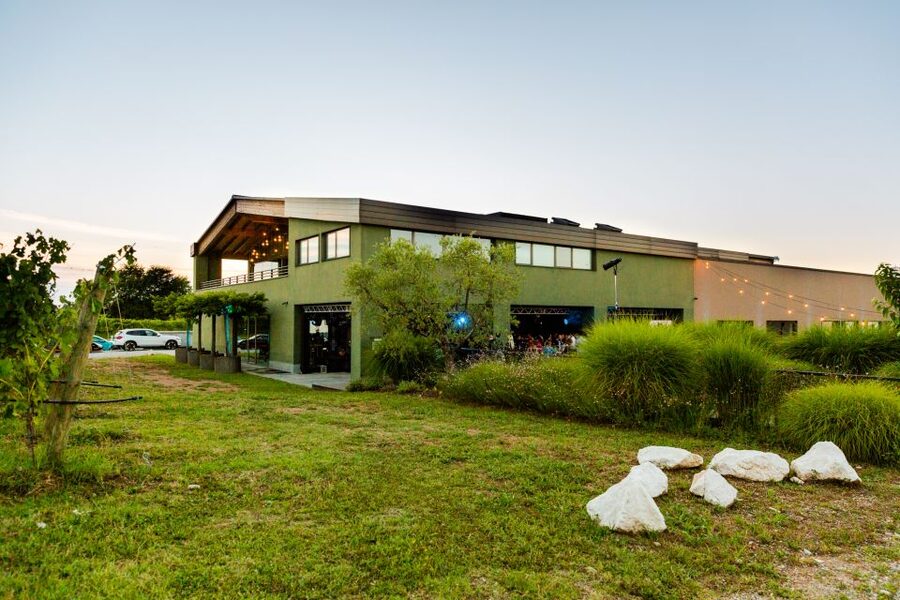 Desenzano: Lugana Wine-Tasting and Vineyard Tour - A polished winery with a family feel