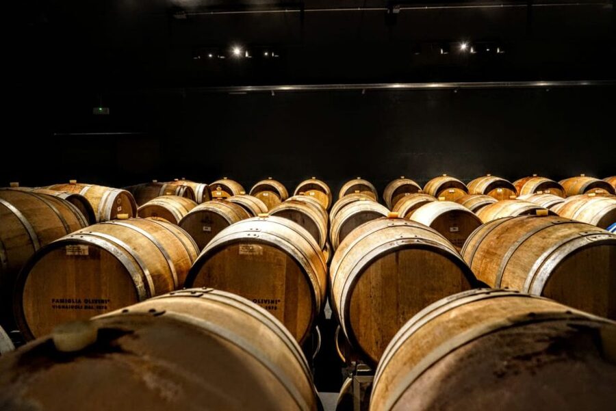 Desenzano: Lugana Wine-Tasting and Vineyard Tour - Who will enjoy this visit most