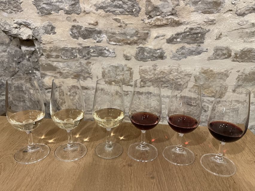 Dijon: Cheese and Burgundy Wine Tasting Workshop - Why the cheese pairing is the real lesson