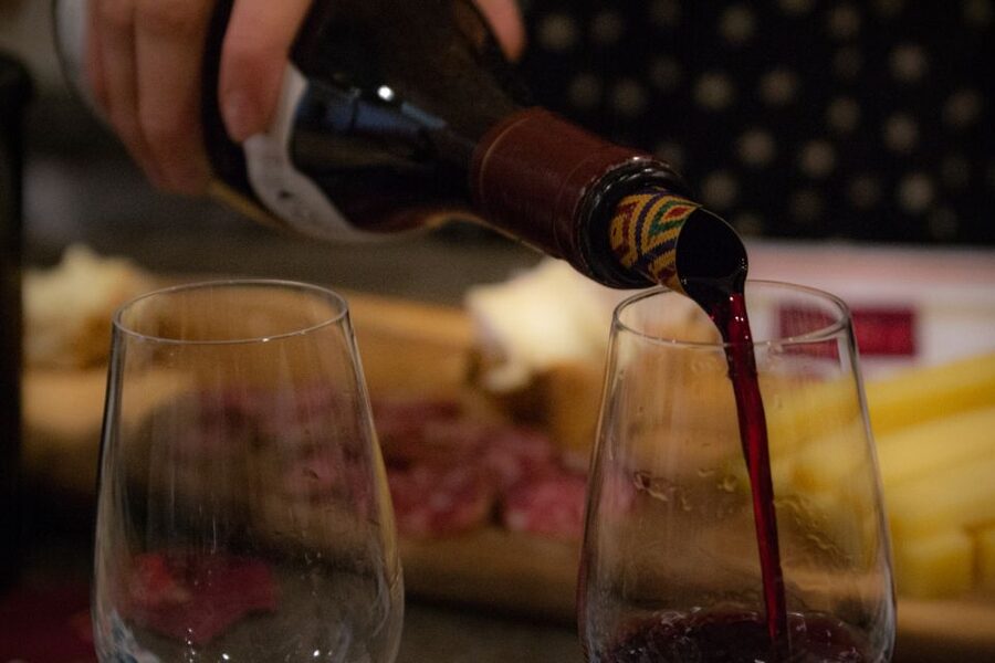 Dijon: Cheese and Burgundy Wine Tasting Workshop - The guide makes the difference