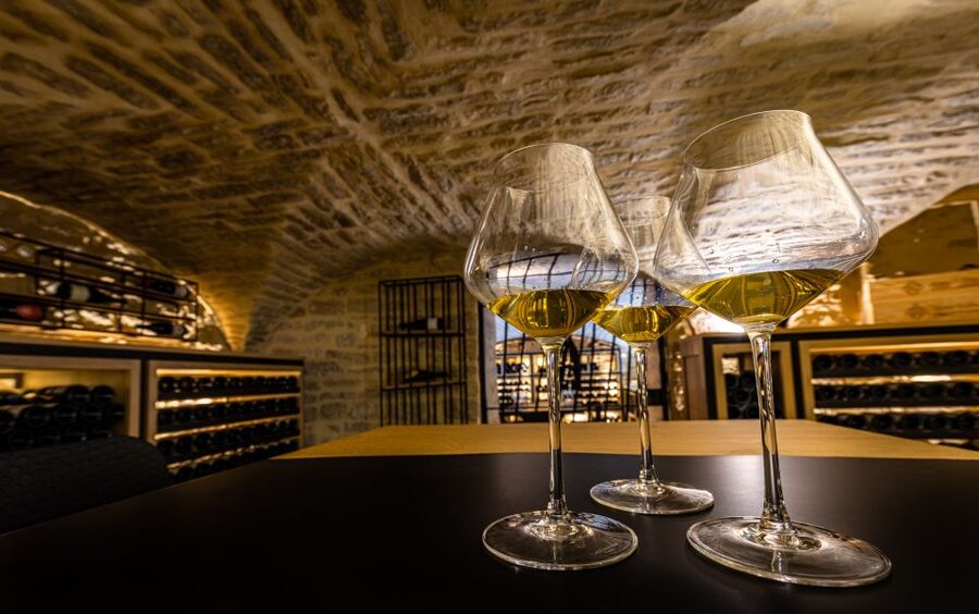Dijon: La Cave du Palais Burgundy Wine Tasting Experience - Climates, soil, and the reason place matters