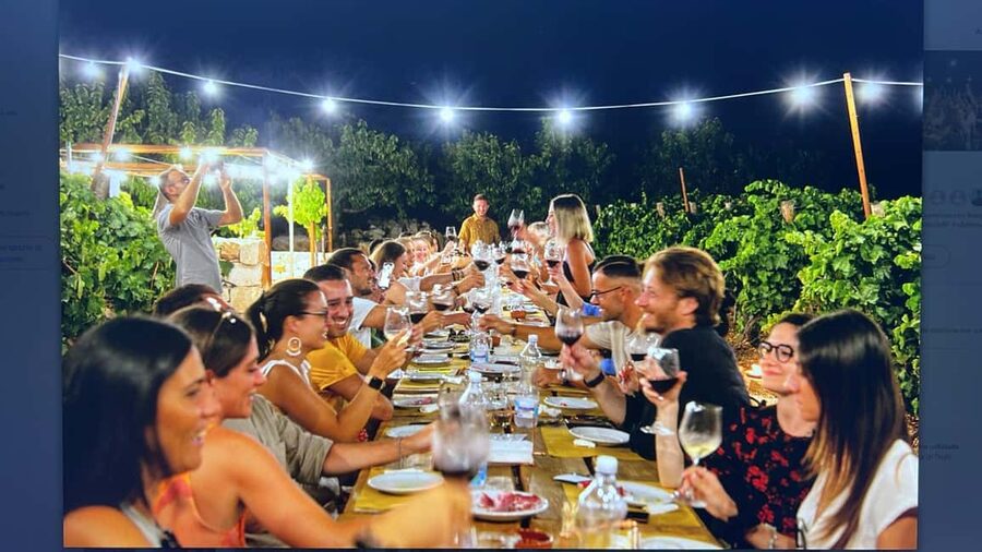 Dinner in the vineyard and wine tasting under the stars - Key details before you book