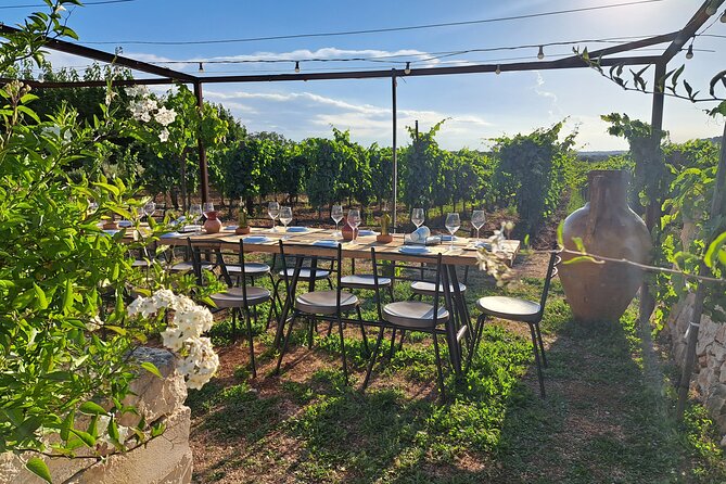 Dinner in the vineyard with wine tasting and walk - A vineyard evening near Martina Franca