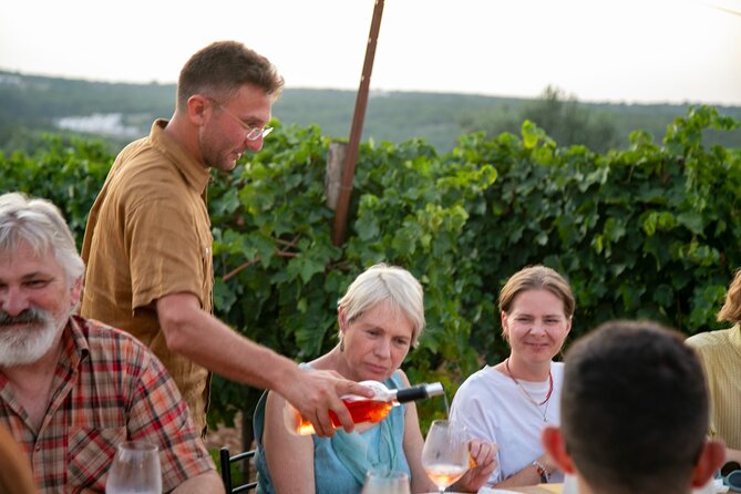 Dinner in the vineyard with wine tasting and walk - Handmade orecchiette and stove-cooked bombette