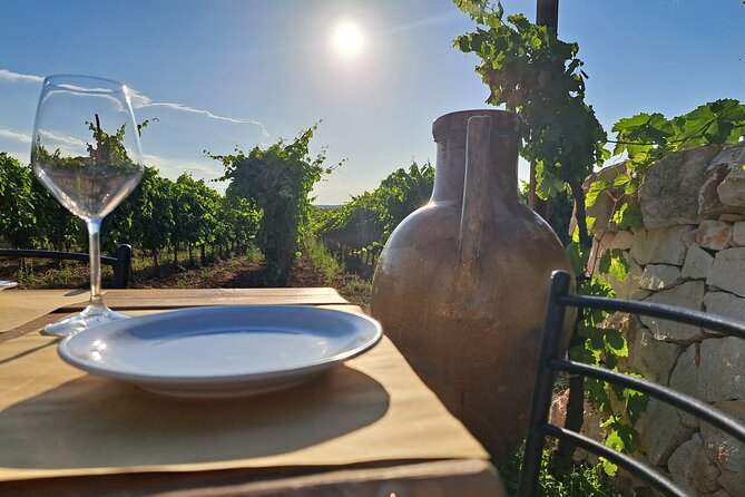 Dinner in the vineyard with wine tasting and walk - The long table and family atmosphere