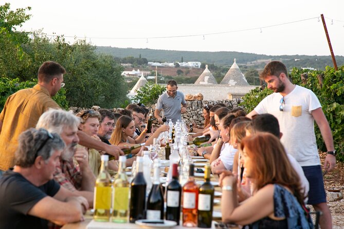 Dinner in the vineyard with wine tasting and walk - The main drawback: special requests need attention
