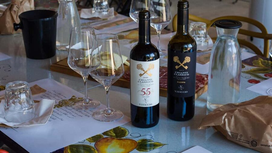 Discover Chianti Classico wines with a visit and tasting at Viticcio - Key points to know before you go