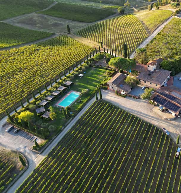 Discover Chianti Classico wines with a visit and tasting at Viticcio - What the one-hour Viticcio visit is really like
