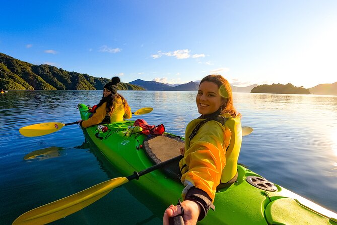 Discover Marlborough Wine - Afternoon Marlborough Wine Tour - The small group is worth paying for