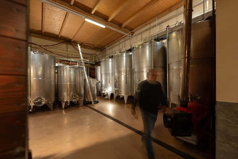 Dogliani: Tasting of 7 Wines in the Heart of the Langhe - Inside the cellar: from grapes to labeled bottle