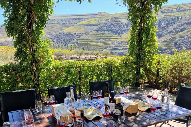 Douro Valley-Expert Guide-Boat-Lunch-Tastings-Offer wine bottle - The São Cristóvão viewpoint sets the scene