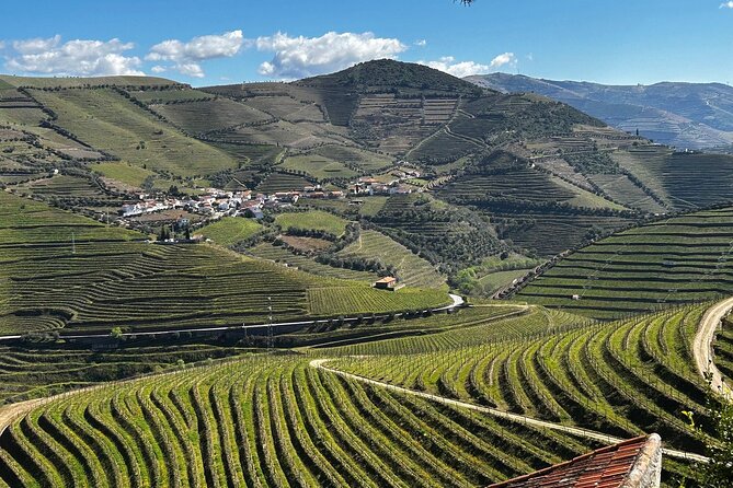 Douro Valley Half-Day Tour with Winery and Lunch From Porto - Key points at a glance