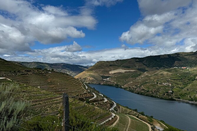 Douro Valley Half-Day Tour with Winery and Lunch From Porto - The scenic road from Porto to Pinhão