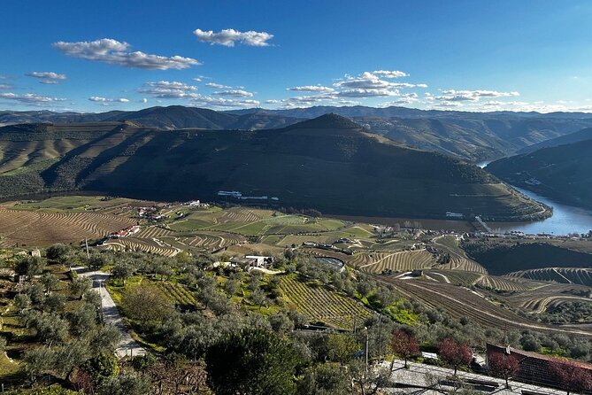 Douro Valley Half-Day Tour with Winery and Lunch From Porto - Returning to Porto after a full day on the road