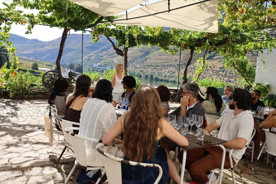 Douro Valley: Half-Day, with 1 winery & 1-h boat tour - Guides make a real difference