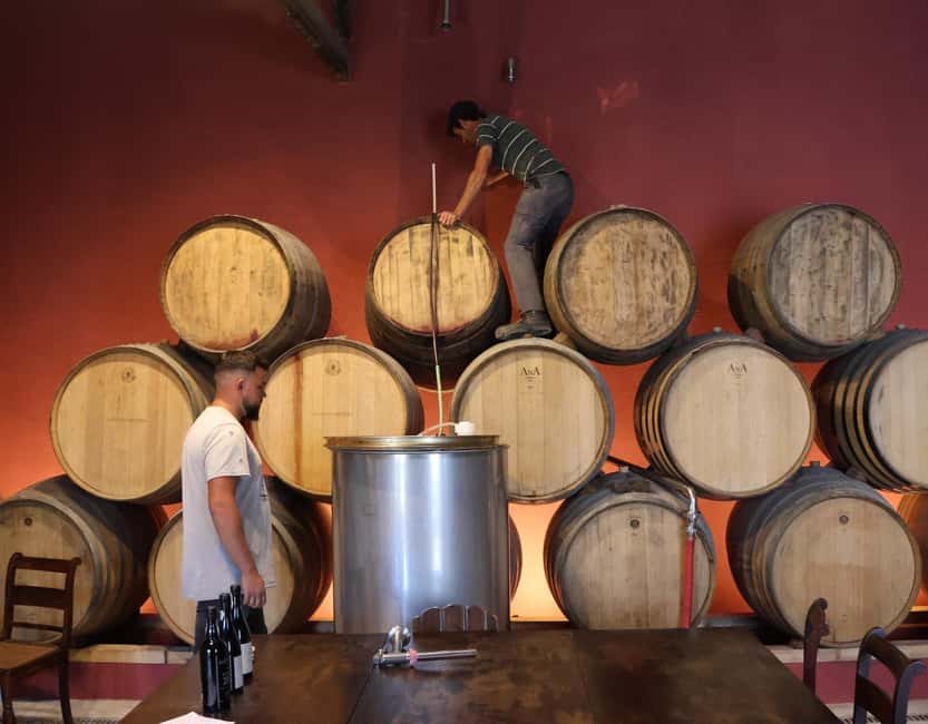 Douro Valley: Half-Day, with 1 winery & 1-h boat tour - What $80 gets you