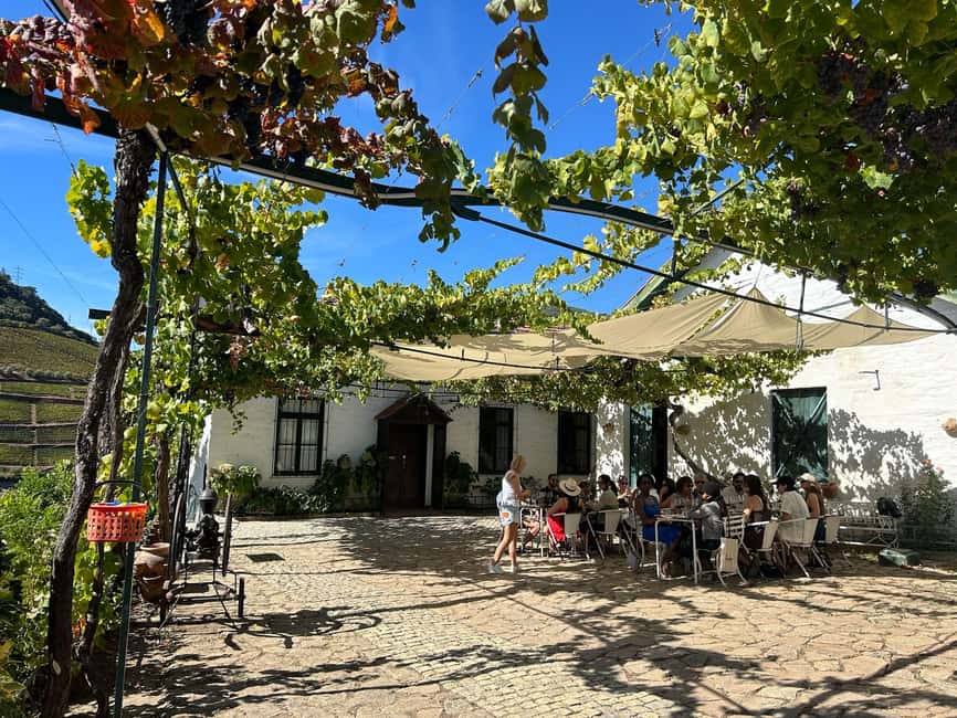 Douro Valley: Half-Day, with 1 winery & 1-h boat tour - Who should book this experience?