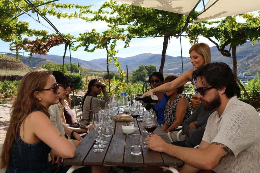 Douro Valley: Half-Day, with 1 winery & 1-h boat tour - Leaving Porto for the N222 viewpoints