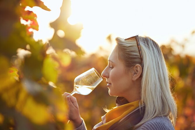 Douro Valley: Historical Sites, Wine Experience, Lunch & Cruise - Lunch With Douro Wine