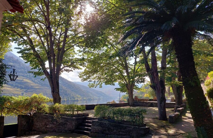 Douro Valley: (Pinhão) Quinta da Foz - Tour&Tasting 5 WINES - Five wines, from rosé to Grande Reserva