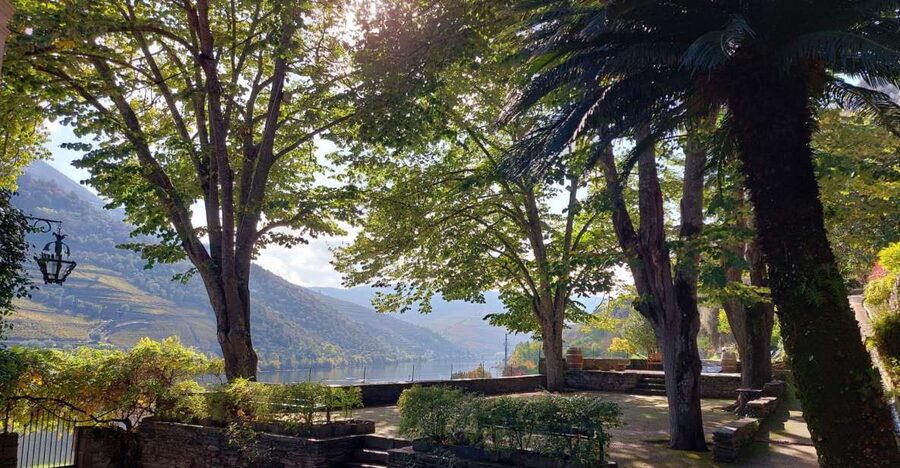Douro Valley: (Pinhão) Quinta da Foz - Tour&Tasting 5 WINES - The vineyard walk and viewpoint