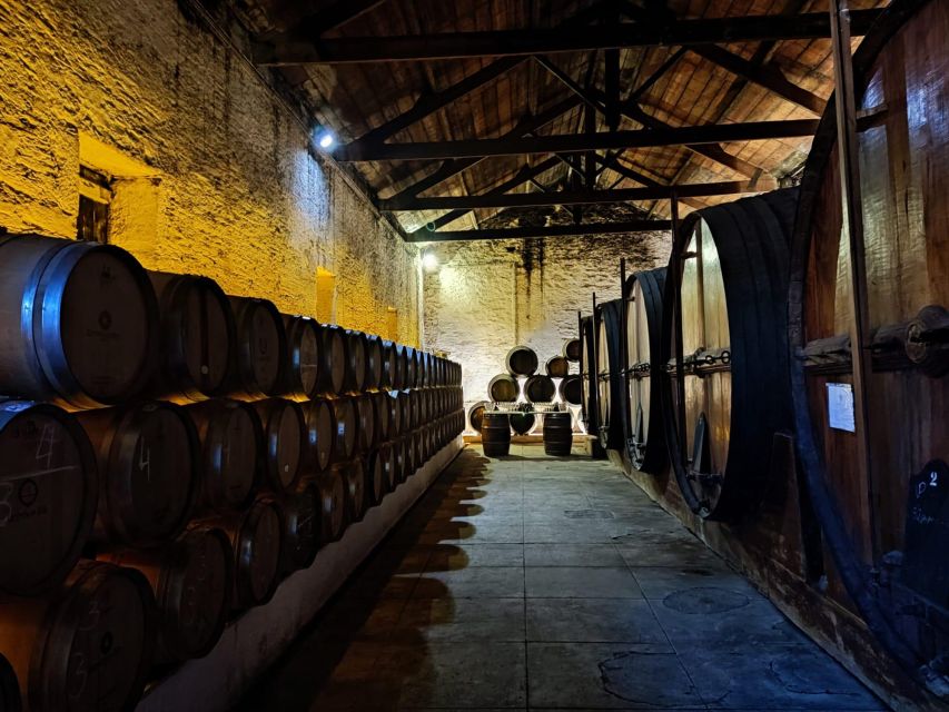 Douro Valley: (Pinhão) Quinta da Foz - Tour&Tasting 5 WINES - Portuguese tiles, granite tubs, and the old cellar