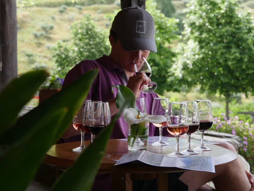 Douro Valley: Premium Port Tasting Winery Tour & River Views - Key points to know before booking