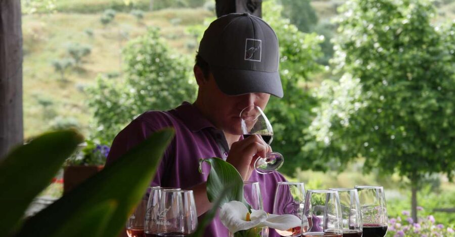 Douro Valley: Premium Port Tasting Winery Tour & River Views - Arriving at Folgosa between Régua and Pinhão