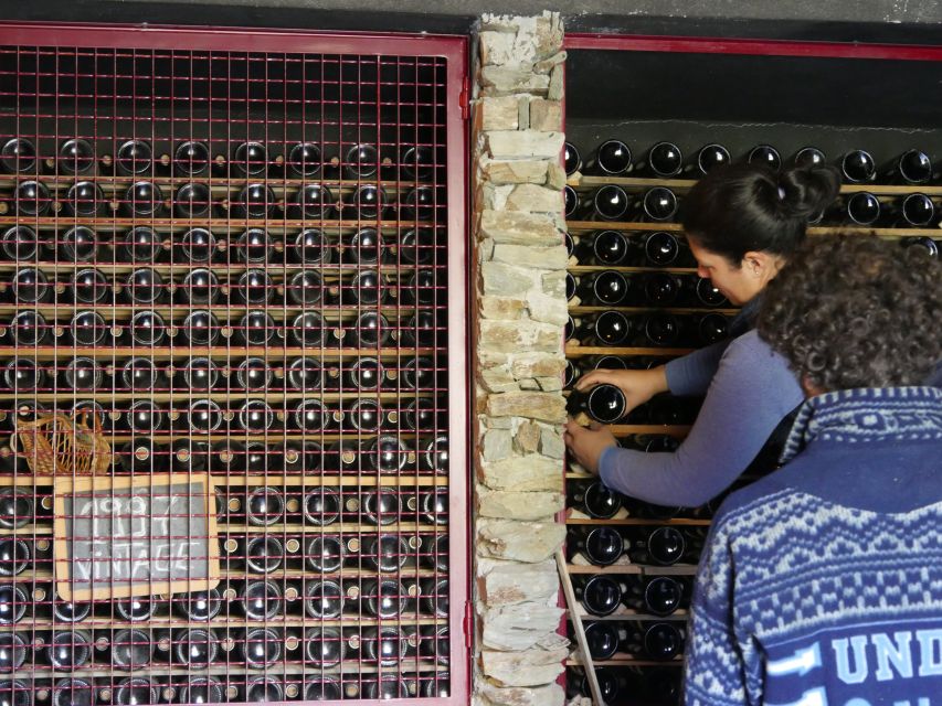 Douro Valley: Premium Port Tasting Winery Tour & River Views - The original stone lagares tell an older story
