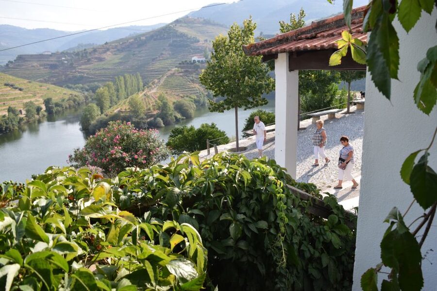 Douro Valley: Premium Port Tasting Winery Tour & River Views - The 18th-century cellars explain the wine