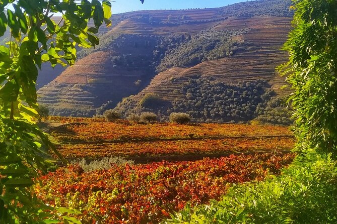 Douro Valley Prime Tour: Wine Tastings, Boat & Lunch from Porto - Leaving Porto through Vinho Verde country