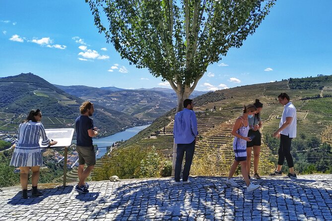 Douro Valley Prime Tour: Wine Tastings, Boat & Lunch from Porto - The river cruise: one quiet hour on the water