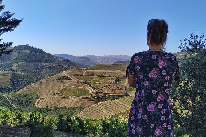 Douro Valley Prime Tour: Wine Tastings, Boat & Lunch from Porto - A three-course lunch that earns its place