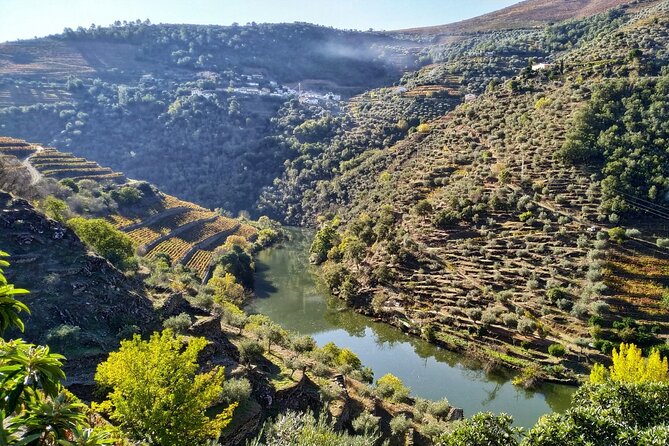 Douro Valley Prime Tour: Wine Tastings, Boat & Lunch from Porto - Quinta do Panascal and Fonseca Port