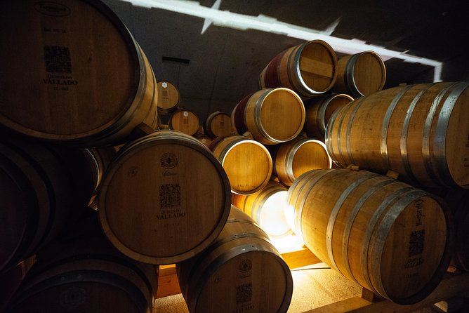 Douro Valley Private Day Trip including Boat Ride & Wine Tasting - Who should book this Douro day trip?