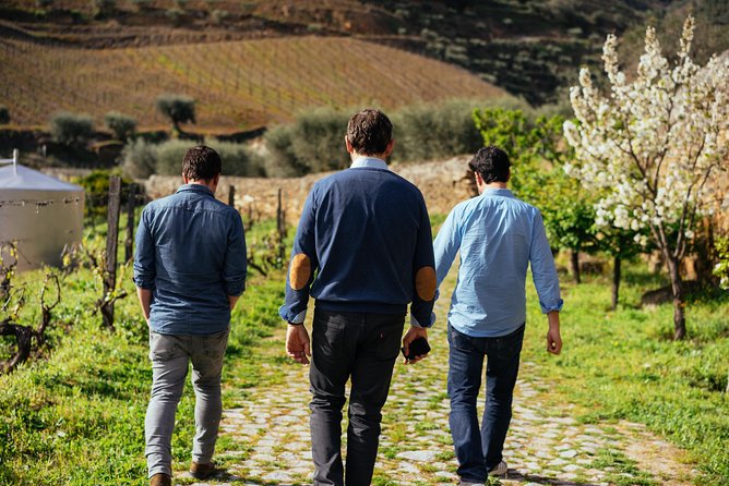 Douro Valley Private Day Trip including Boat Ride & Wine Tasting - One hour on the Douro River