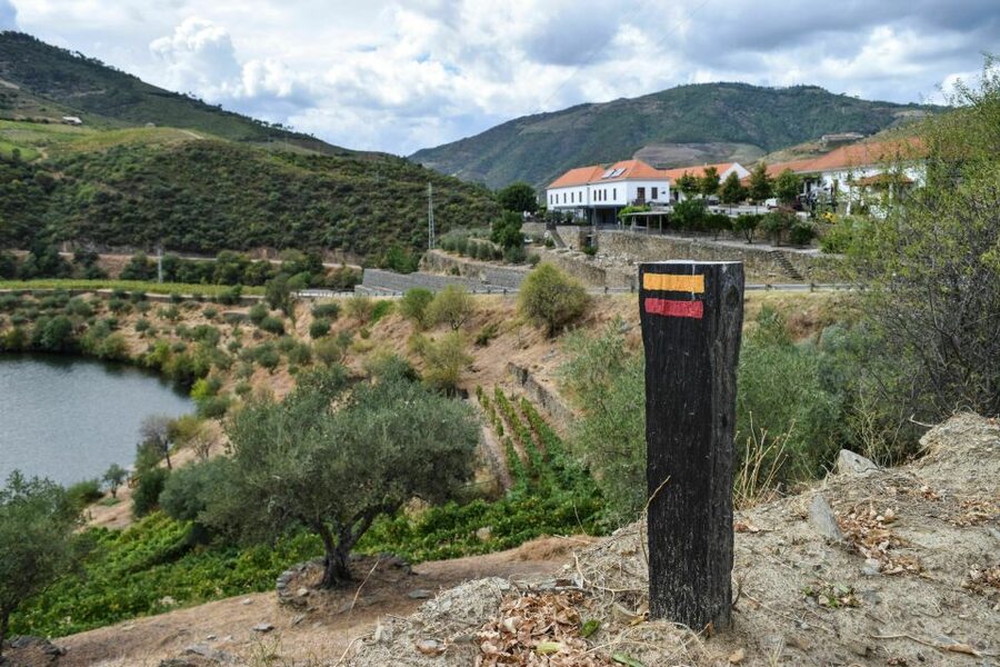 Douro Valley: Quinta do Tedo Wine Experience with Picnic - Five details that make this experience special