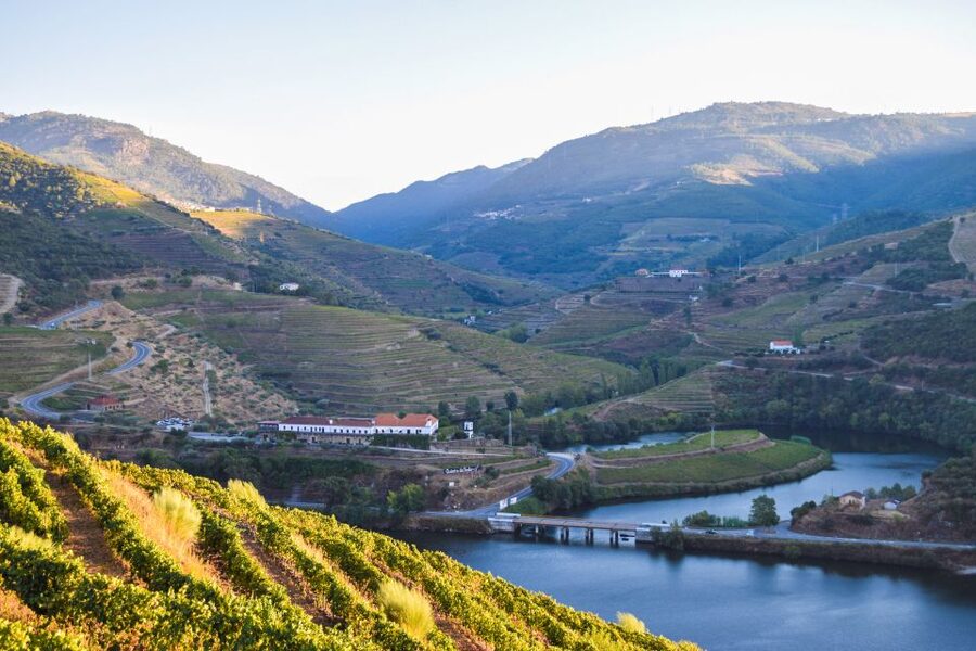 Douro Valley: Quinta do Tedo Wine Experience with Picnic - Arriving at Quinta do Tedo near Folgosa