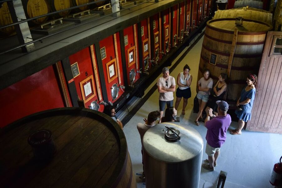 Douro Valley: Quinta do Tedo Wine Experience with Picnic - Choosing the wine for the meal