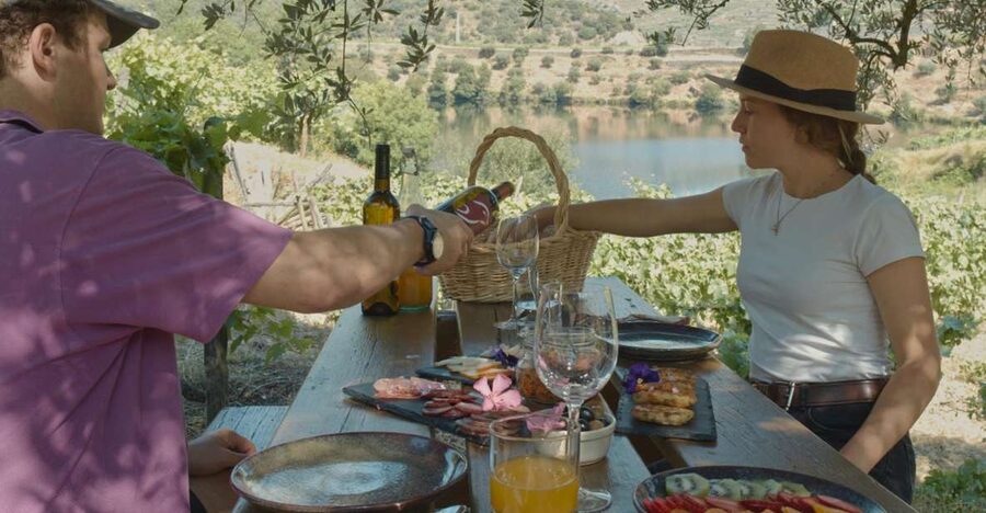 Douro Valley: Quinta do Tedo Wine Experience with Picnic - Weather, comfort, and access