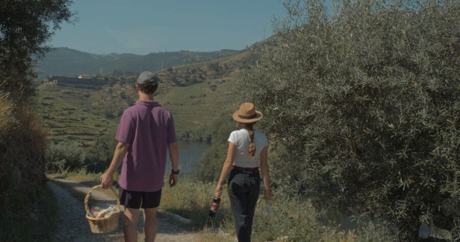 Douro Valley: Quinta do Tedo Wine Experience with Picnic - Who should book this Douro picnic?
