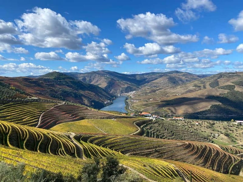 Douro Valley: Small-Group Tour, Winery's Lunch, Private Boat - The private boat ride on the Douro