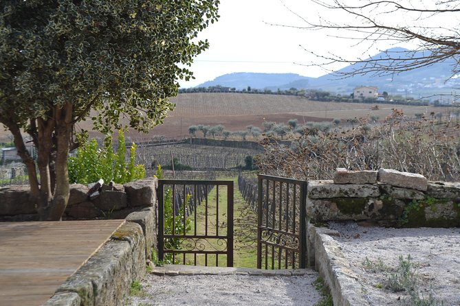 Douro Valley Tour: 2 Vineyard Visits, River Cruise, Winery Lunch - National Road 222 to Pinhão