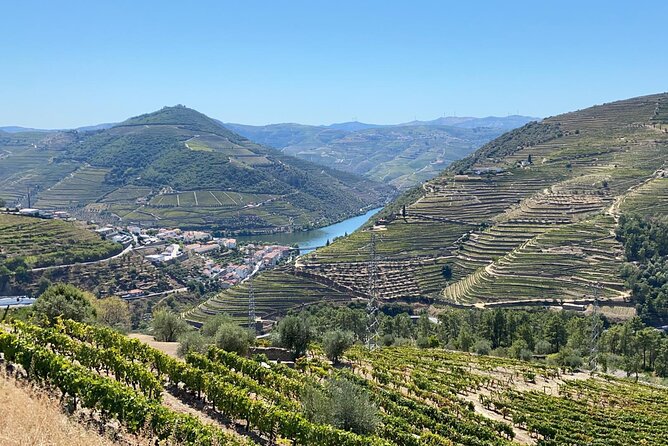Douro Valley Tour - 3 Wine tastings, Lunch & river Cruise - Pinhão: choose the boat or the riverside