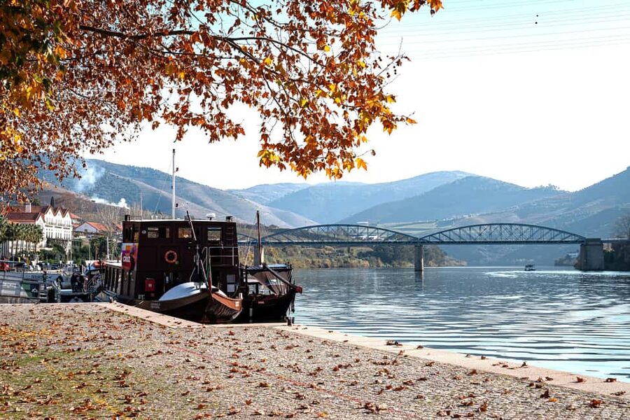 Douro Valley Tour: Visit 2 Wineries, Lunch & River Cruise - The day at a glance