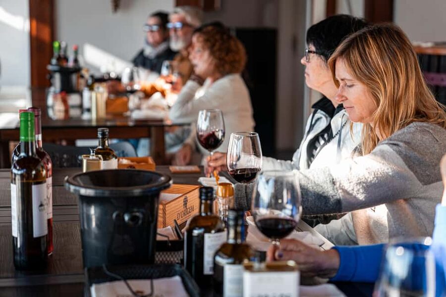 Douro Valley Tour: Visit 2 Wineries, Lunch & River Cruise - The N222 return to Porto