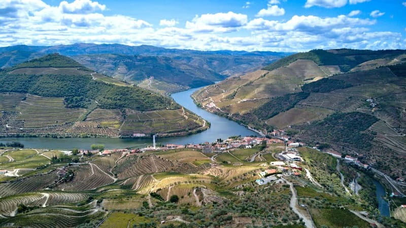 Douro Valley Tour: Visit 2 Wineries, Lunch & River Cruise - What the guide adds to the experience