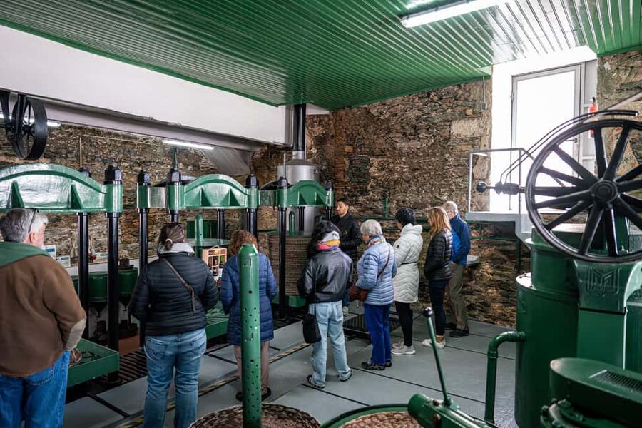 Douro Valley Tour: Visit 2 Wineries, Lunch & River Cruise - Is $116 a fair price?
