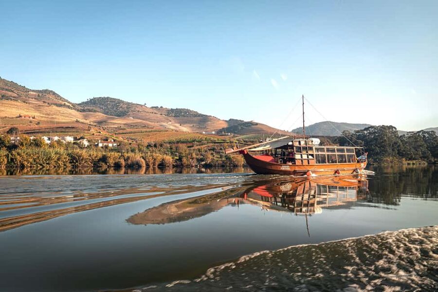 Douro Valley Tour: Visit 2 Wineries, Lunch & River Cruise - The road from Porto to Douro country